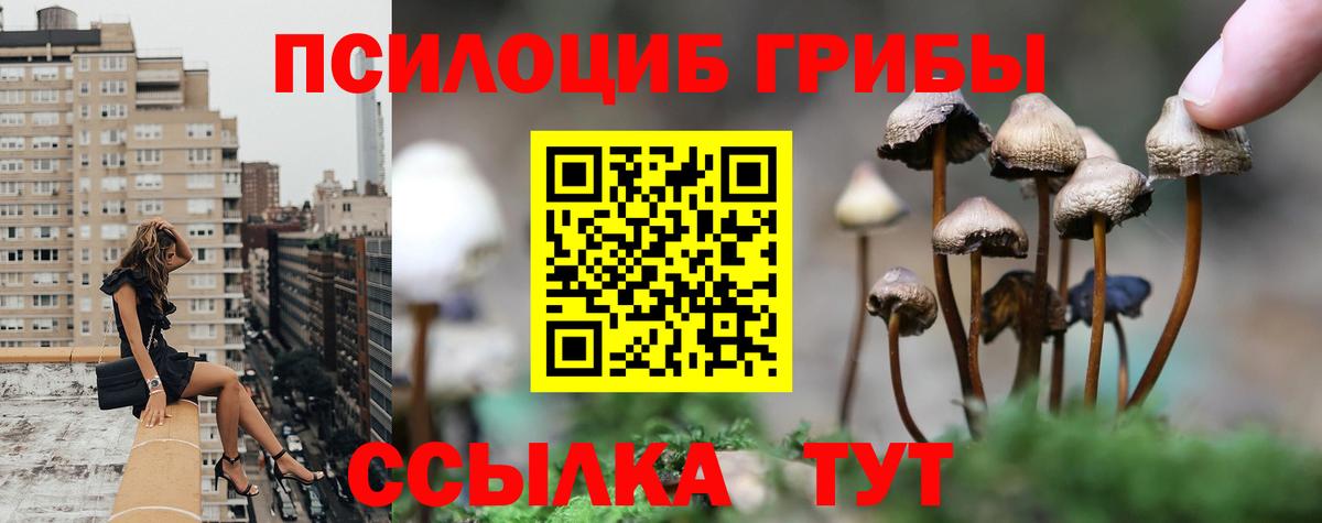 Псилоцибиновые грибы Cubensis Новоуральск